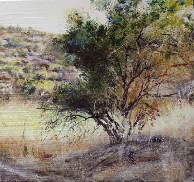 Title: Almond Tree 2013 Judean Hills Size: 30cm x 30cm 