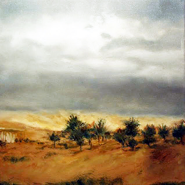 vered Terry Jordan Valley series 3