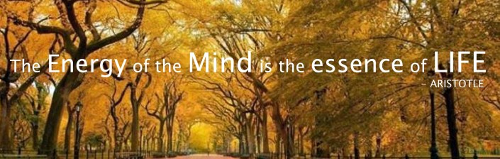 Aristotles quote essence of life