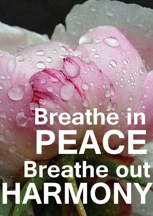 breathe-in-love-breathe-out-harmony